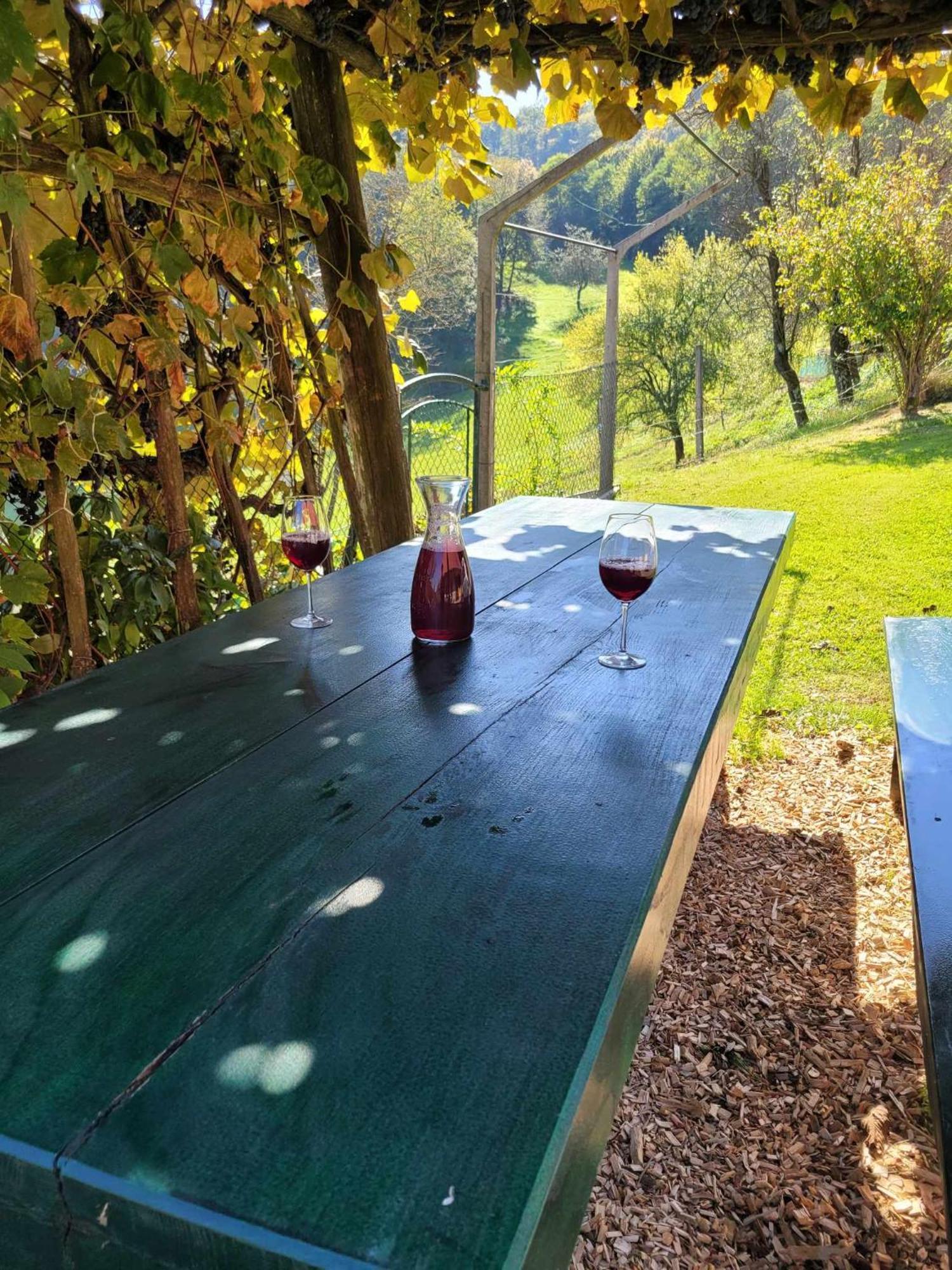 Villa Turisticna Kmetija Kunstek à Rogatec Extérieur photo
